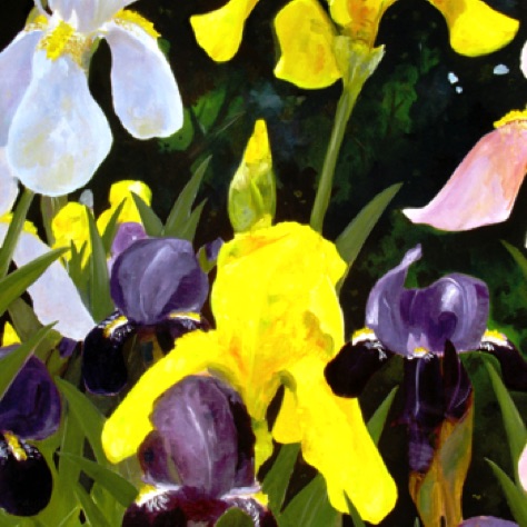 Irises
40x30
FRAMED Irises
40x30
FRAMED